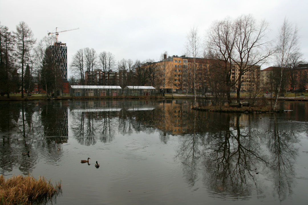 Kuva